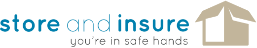 store and insure-logo