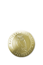 NSI Logo